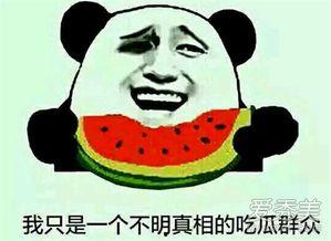 网络中的吃瓜是什么意思,吃瓜群众的趣味与智慧